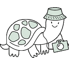 Photo Flash Sticker by Pancha By Flor Bertotti