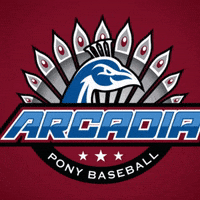arcadia-pony-baseball-DZXrlPKIJ7X393TOJI