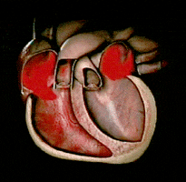 Art Design Heart GIF
