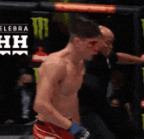 Ufc Chile GIF