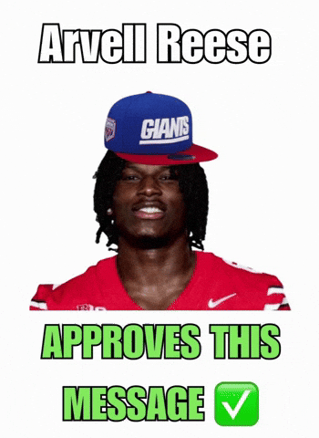 New York Newyorkgiants GIF