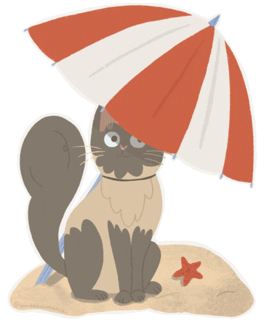 Cat Summer Sticker