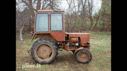giphy.gif