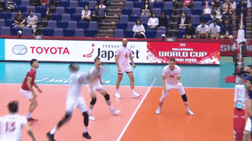 Italy Wow GIF by Volleyball World