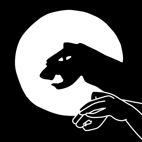 Black And White Cat GIF by littlekingdoms