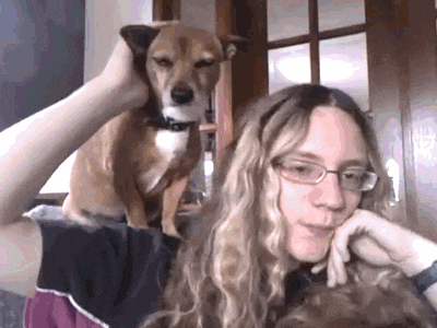 Dog Pet GIF - Find & Share on GIPHY