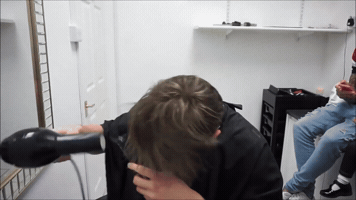 raqlevy  GIF