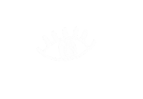 Silk Ferries Sticker