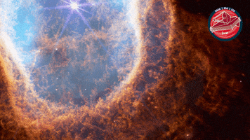 James Webb Star GIF by ESA Webb Space Telescope