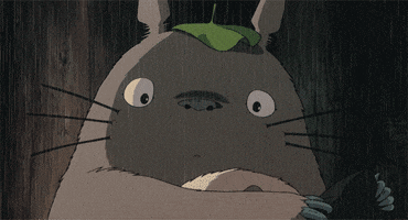 My Neighbour Totoro What GIF