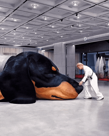 Stray Kids Felix GIF