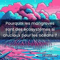 expliquepourquoi-mangroves-cosystmes-marins-biodiversit-ctire-DeVALpcx32cJ0DSNI9