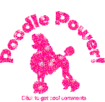 Poodle Sticker by Kate