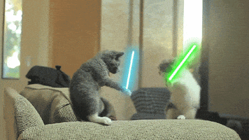 star wars fighting GIF by Internet Cat Video Festival