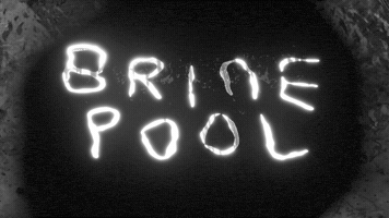 Brine Pool GIF