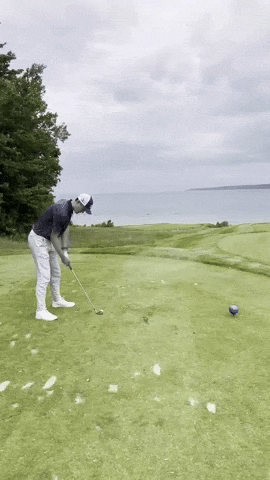 Shaftage GIF by Reserve it