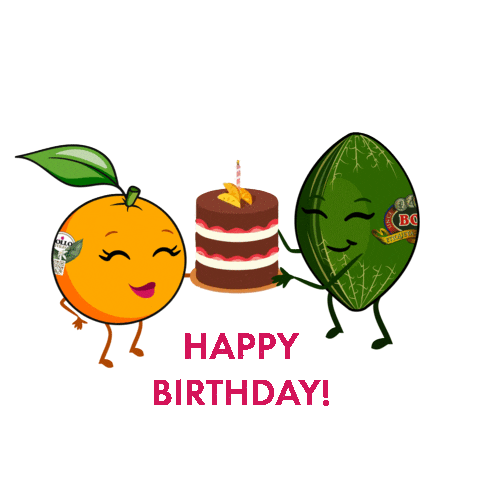 Happy Birthday Sticker by Bollo Fruits
