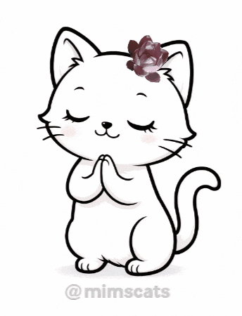 Cat Pray GIF
