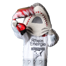 Hockey Nhl Sticker by Koelner Haie