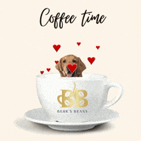 Valentines Day Love GIF by Berk's Beans Coffee