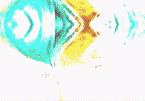 Son Mlk GIF
