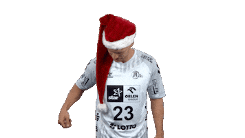 Handball-Bundesliga Christmas Sticker by LIQUI MOLY HBL