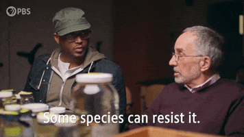 Resist Episode 4 GIF by PBS