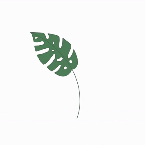 Palmenmann GIF