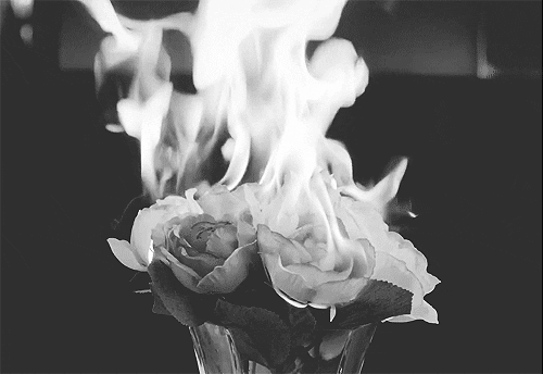 flowers black and white gif GIF