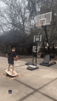 10-Year-Old Pulls Off Amazing Balance Board Triple Basketball Hoop Trick Shot