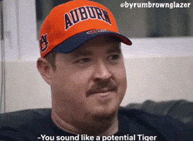 War Eagle Auburn Baseball GIF