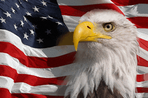 Toshiba Cm GIFs - Find & Share on GIPHY