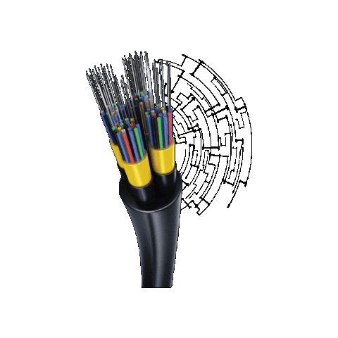 TWF Internet Sticker