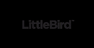 GoLittleBird logo flashing littlebird littlebirdlogo GIF