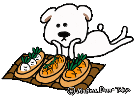 Comida Marest Sticker by marest.doggotokyo