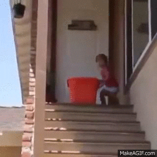 Siblings GIF - Find & Share on GIPHY