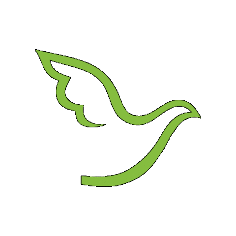 Pigeon Taube Sticker by EJF gAG