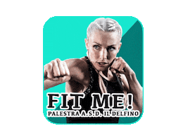 ASD Il Delfino Sticker