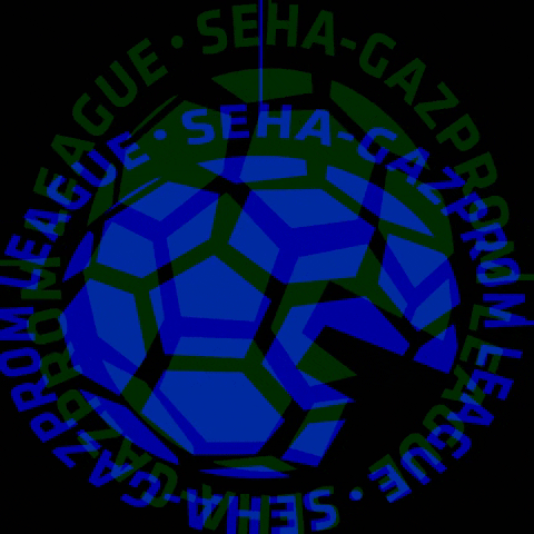 Logo Handball GIF by SEHA