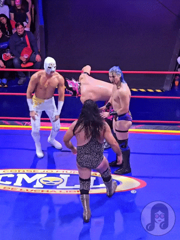 Wrestling Monkey GIF