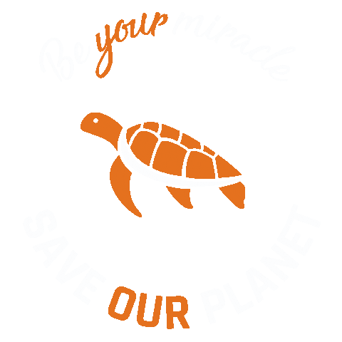 SingitaMiracleBeach Sticker