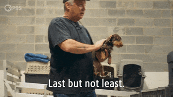 Episode 5 Dog GIF by PBS