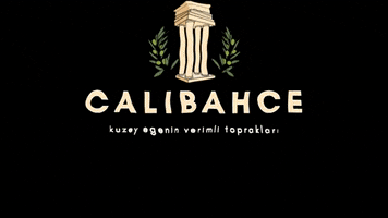 Vegan Oliveoil GIF by calibahce