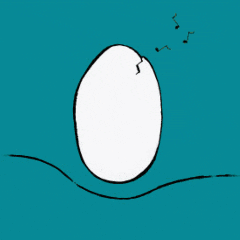 soria  GIF