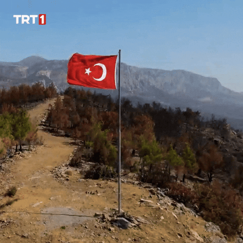 Turkish Flag Soccer GIF by TRT