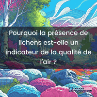 expliquepourquoi-lichens-qualit-de-lair-bio-indicateurs-DrDGV3Y1RWtWyuAc9J