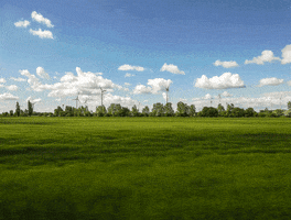 Eva Kosinar GIF