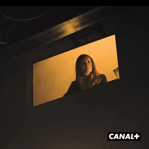 Television Bravo GIF by CANAL+