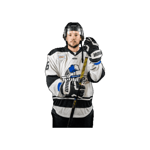 Hockey Sticker by Wichita Thunder