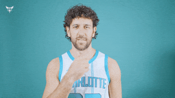 Hive Mentality Vasa Micic GIF by Charlotte Hornets